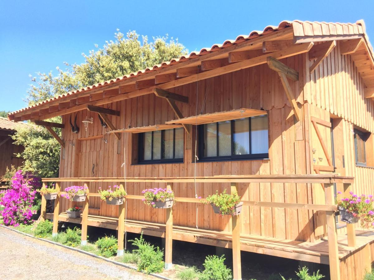 Gite De L'Ocean, 3 Etoiles - Les Cabanes Oceanes, Montalivet Vendays-Montalivet Exterior foto